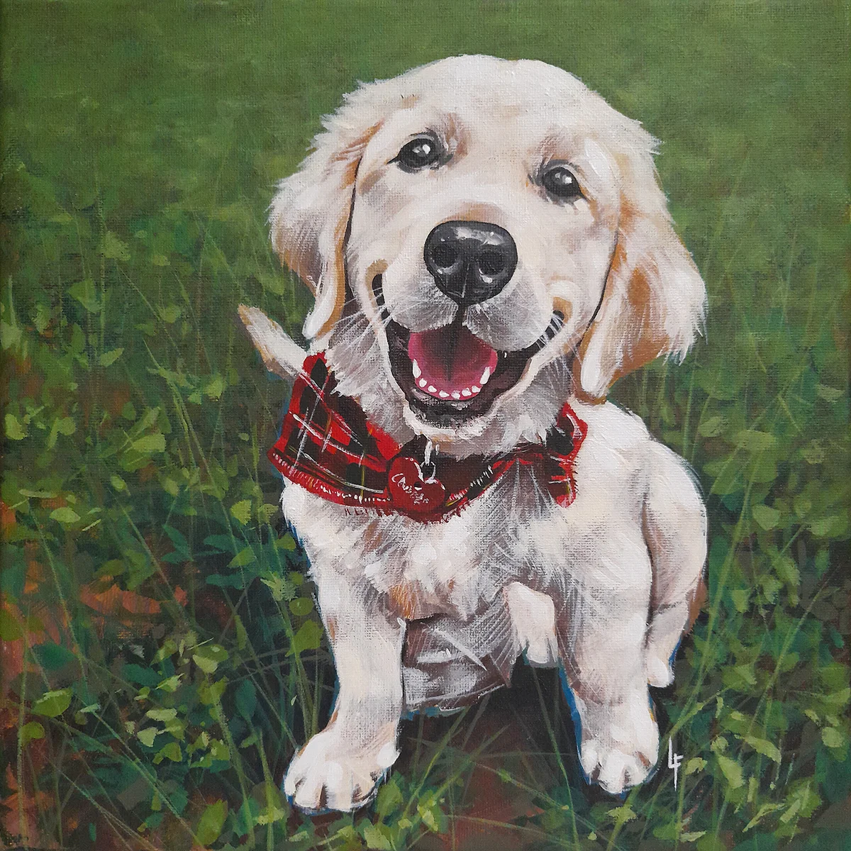 Opera — Commissione