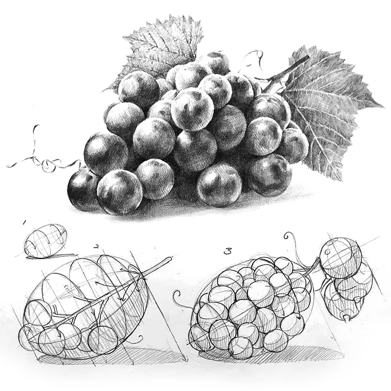 Metodologia del Disegno